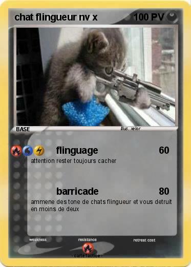 Pokemon chat flingueur nv x