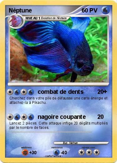 Pokemon Nèptune
