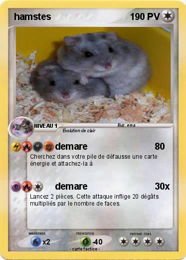 Pokemon hamstes
