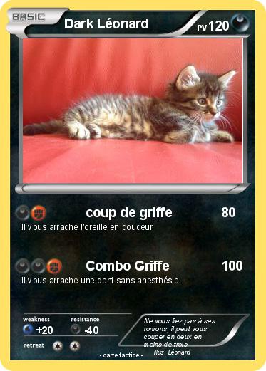 Pokemon Dark Léonard