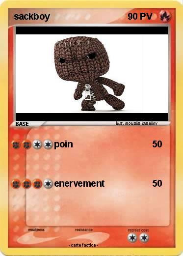 Pokemon sackboy