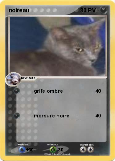 Pokemon noireau