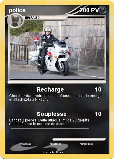 Pokemon police