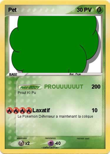 Pokemon Pet