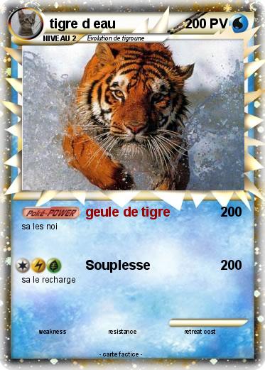 Pokemon tigre d eau