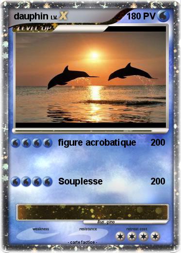 Pokemon dauphin