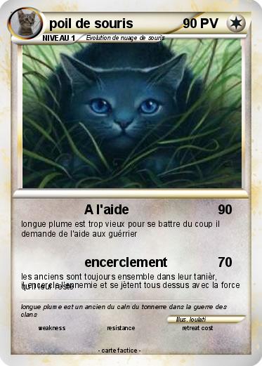 Pokemon poil de souris