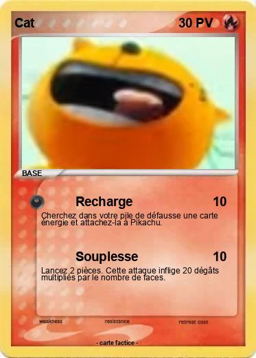 Pokemon Cat