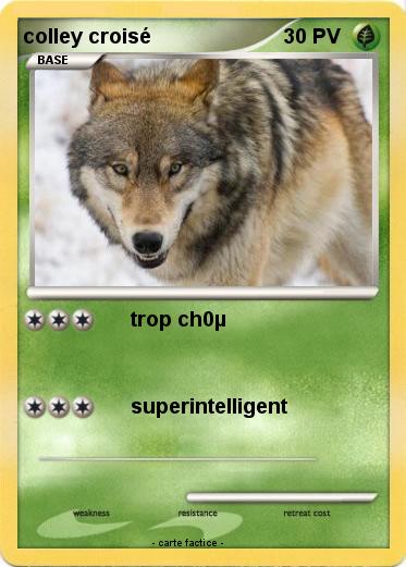 Pokemon colley croisé