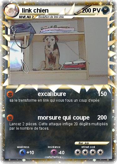 Pokemon link chien