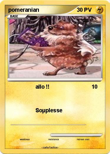 Pokemon pomeranian