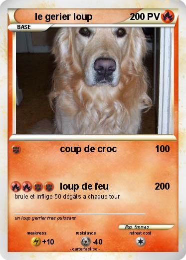 Pokemon le gerier loup
