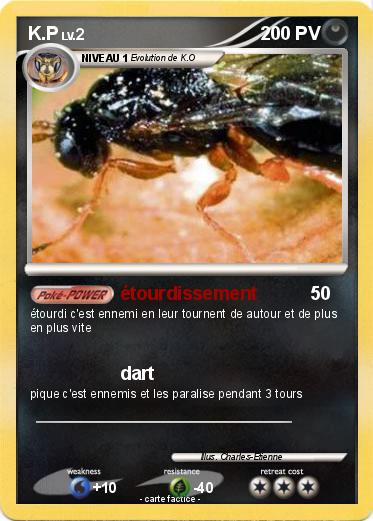 Pokemon K.P