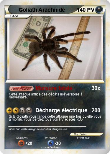 Pokemon Goliath Arachnide