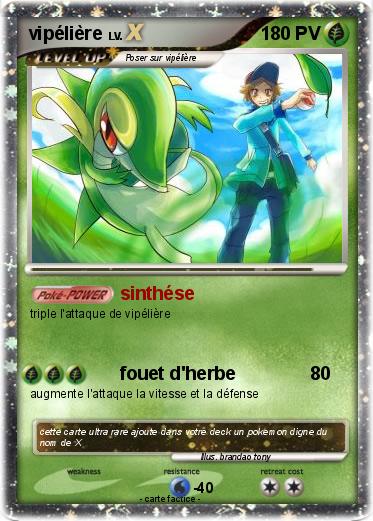 Pokemon vipélière