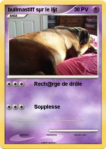 Pokemon bullmastiff sµr le l§t