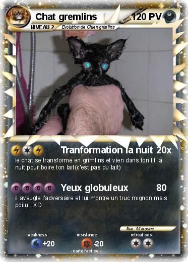 Pokemon Chat gremlins