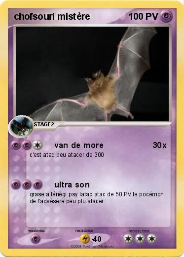 Pokemon chofsouri mistère