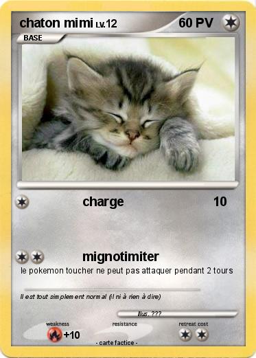Pokemon chaton mimi