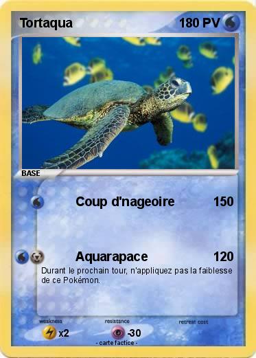 Pokemon Tortaqua