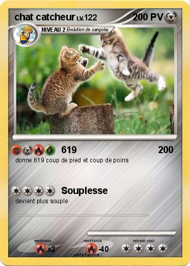 Pokemon chat catcheur