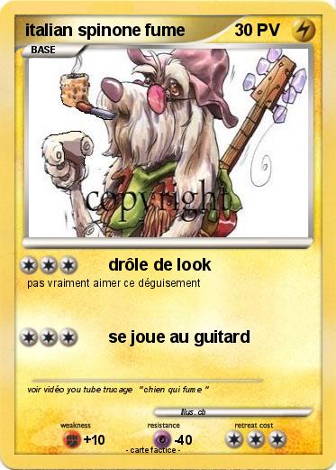 Pokemon italian spinone fume