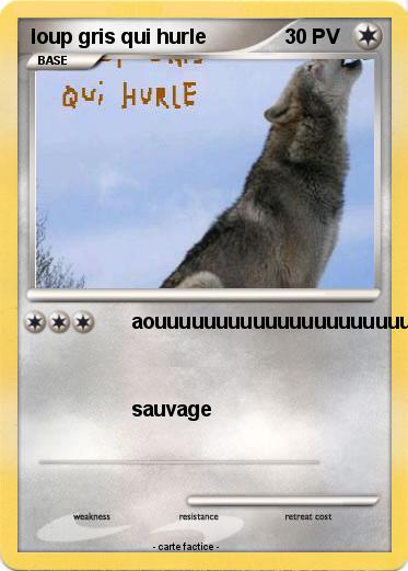 Pokemon loup gris qui hurle