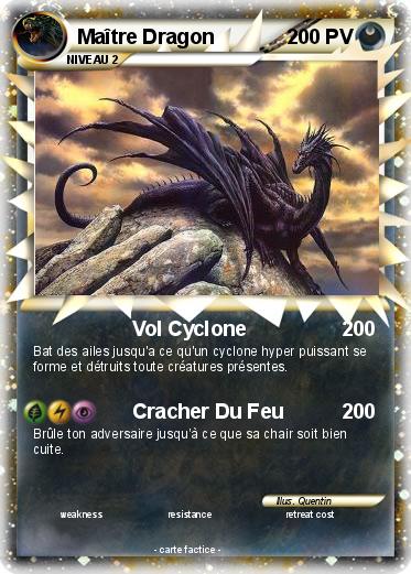 Pokemon Maître Dragon