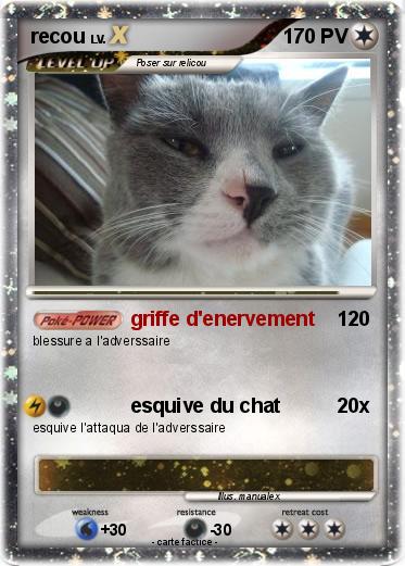 Pokemon recou