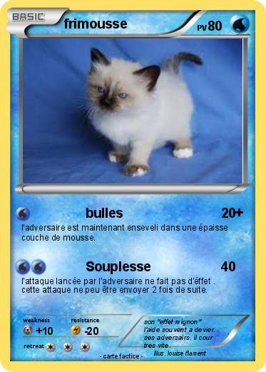 Pokemon frimousse