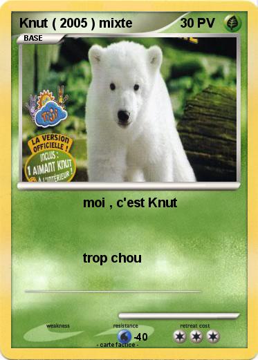 Pokemon Knut ( 2005 ) mixte