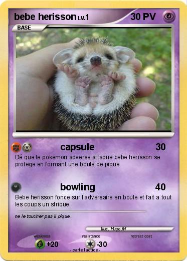 Pokemon bebe herisson