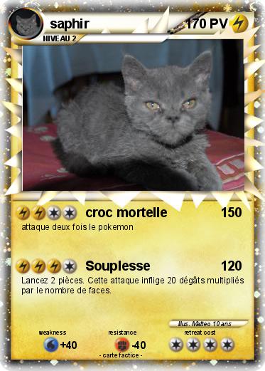 Pokemon saphir