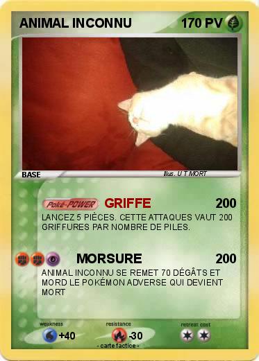 Pokemon ANIMAL INCONNU