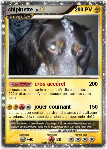 Pokemon chipinette