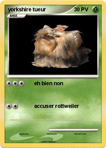 Pokemon yorkshire tueur