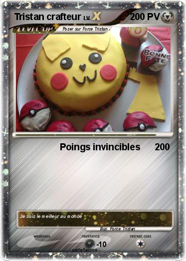 Pokemon Tristan crafteur