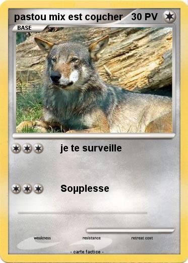 Pokemon pastou mix est coµcher