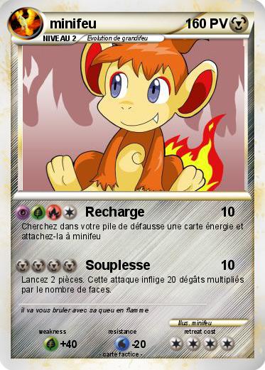 Pokemon minifeu