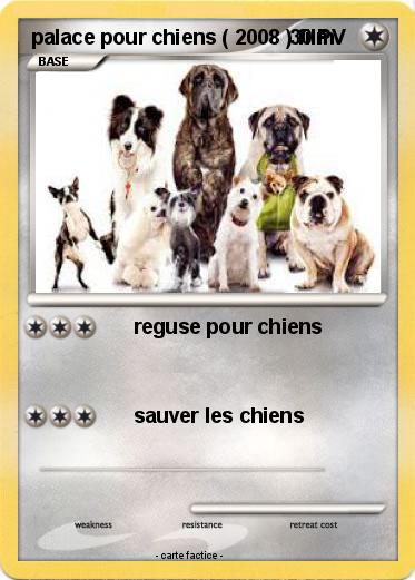 Pokemon palace pour chiens ( 2008 ) film