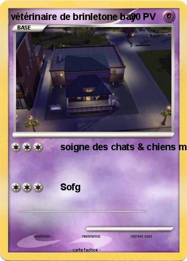 Pokemon vétérinaire de brinletone bay