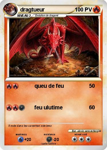 Pokemon dragtueur