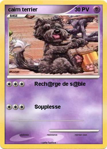 Pokemon cairn terrier