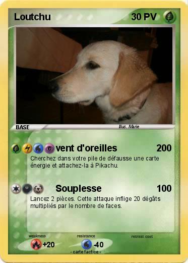 Pokemon Loutchu