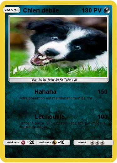 Pokemon Chien débile