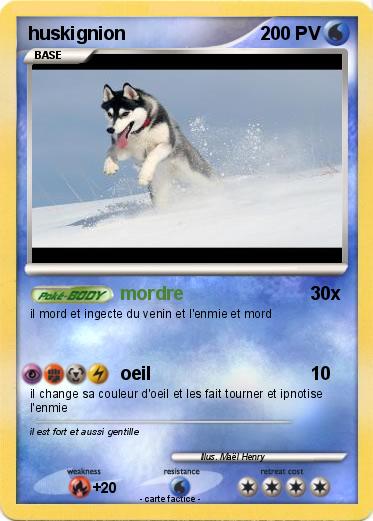 Pokemon huskignion