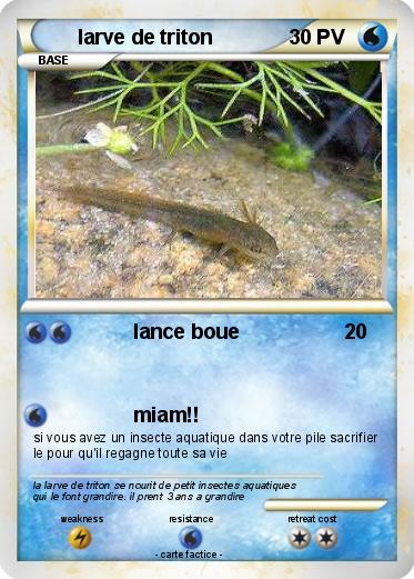 Pokemon larve de triton