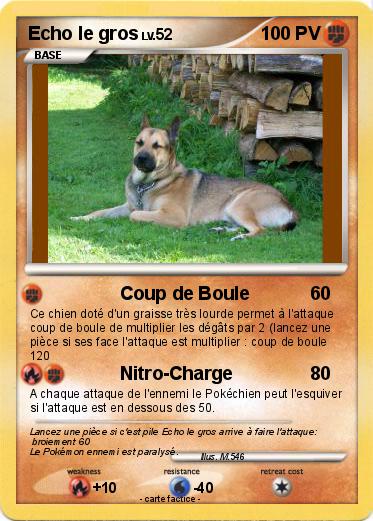 Pokemon Echo le gros