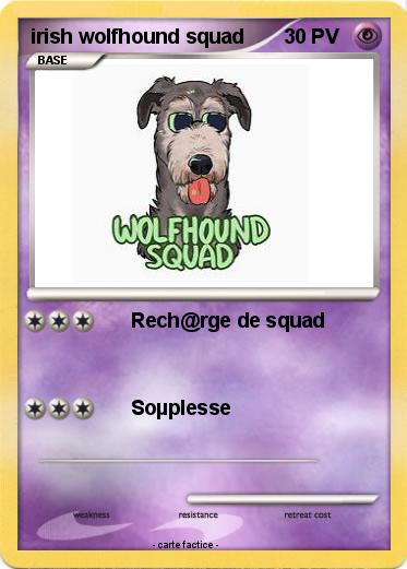 Pokemon irish wolfhound squad