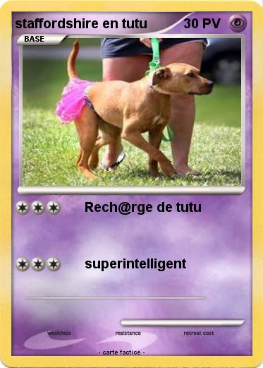 Pokemon staffordshire en tutu
